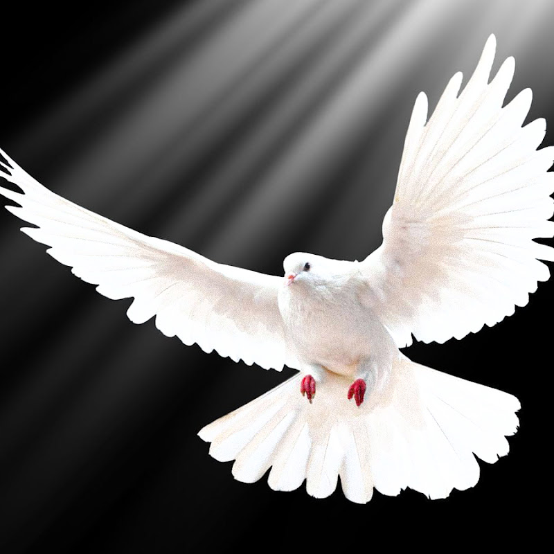 PROPHETIC PRAYER WATCH TOWER