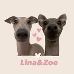 ZOE&LINA 🌸