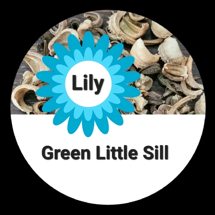 lily green little sill
