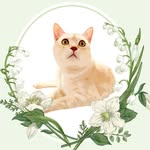 保護猫サロンCAT LIVING