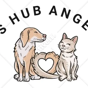 Cats hub Angelina