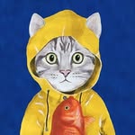 THE SHIP’S CAT