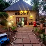 The Lion Lodge