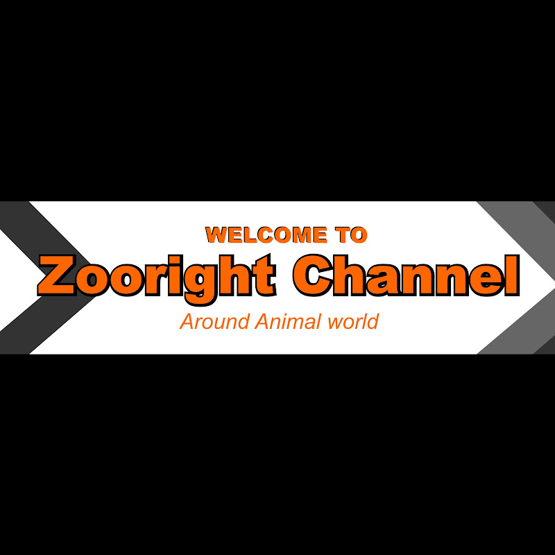 Zooright Channel