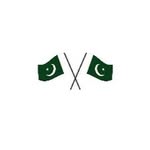 The Overseas Pakistani