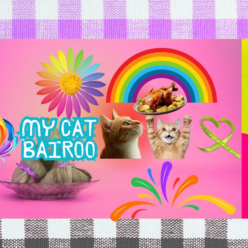 My Cat Bairoo