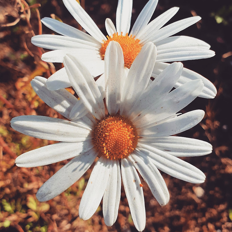 정미선(MISUN JUNG)