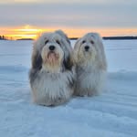 Pyry & Ebbe