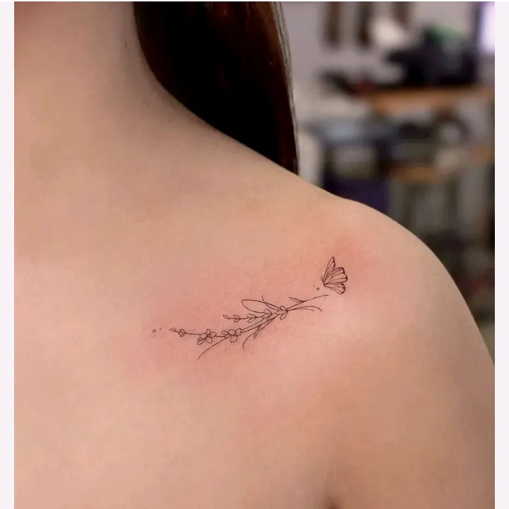 ✨ Fashion Collective ✨