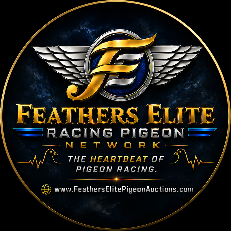Feathers Elite Racing Pigeon Network