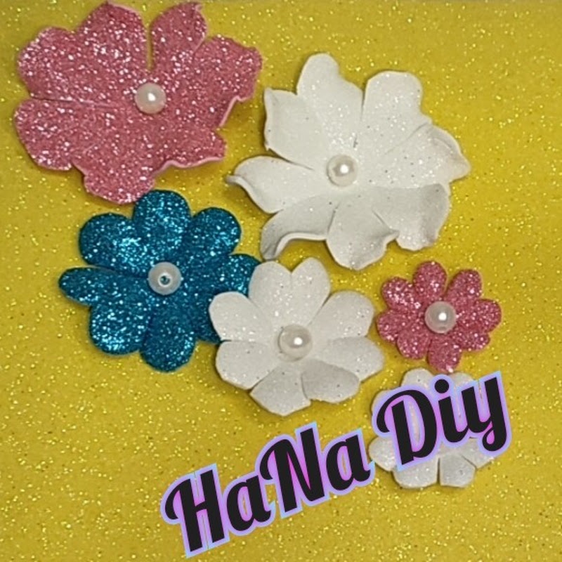 HANA Diy