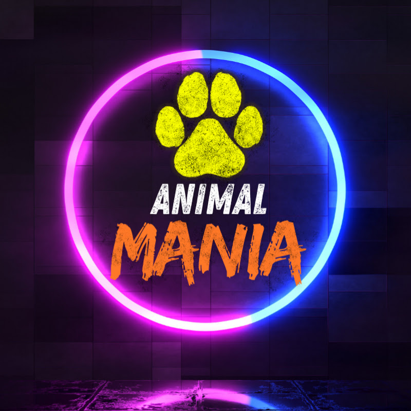 Animal Mania