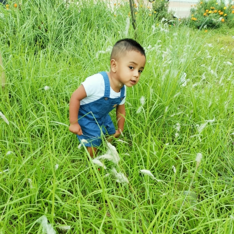 Green Decoration Equipment