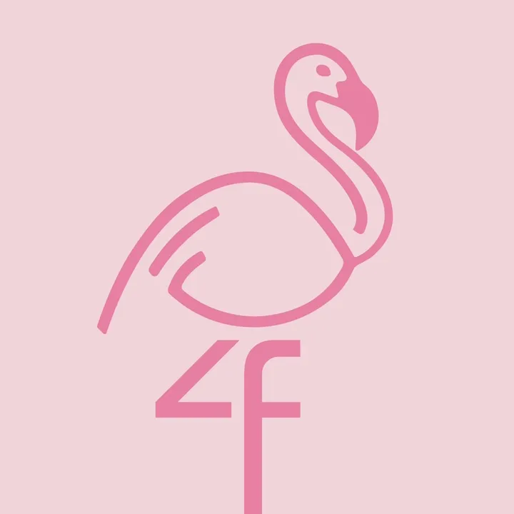 Flamingo 🦩✨🛍️