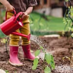 gardening_ighal
