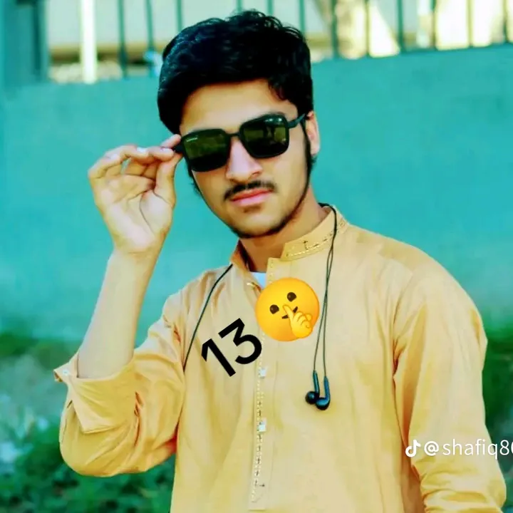 Shafiq Tanha 8612