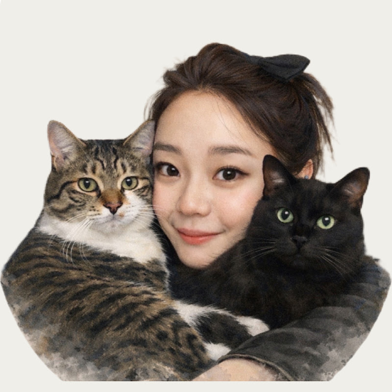 입히입히