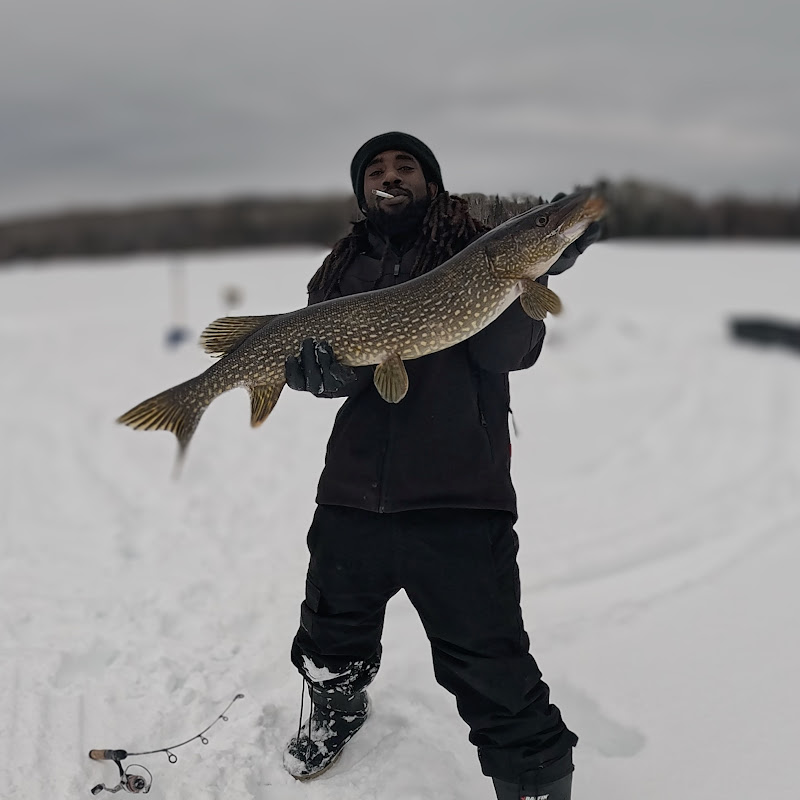 Jamaican Living Up North 