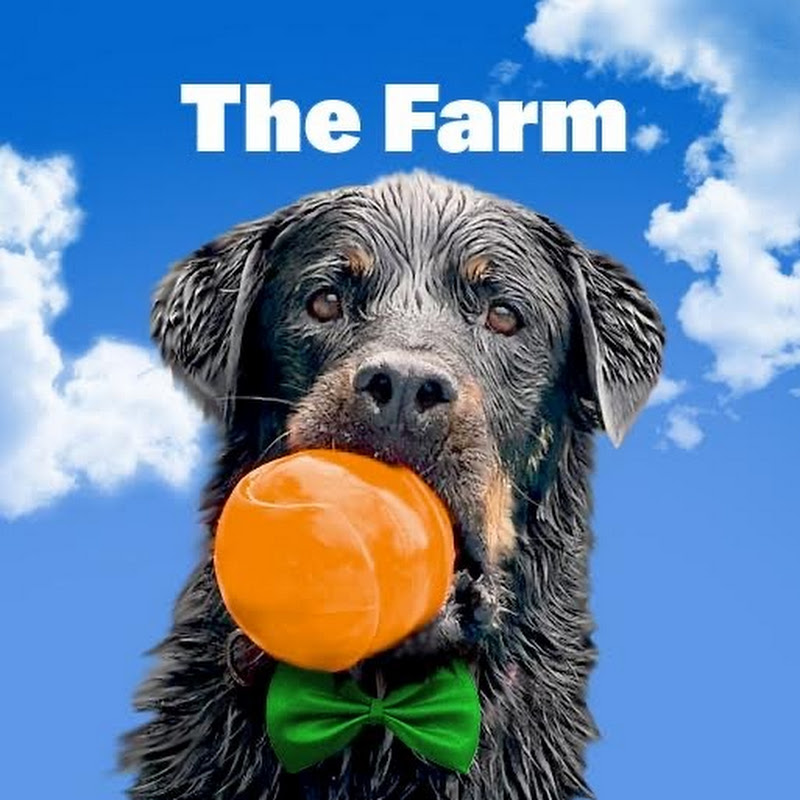 The Farm