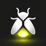 Dan🐝