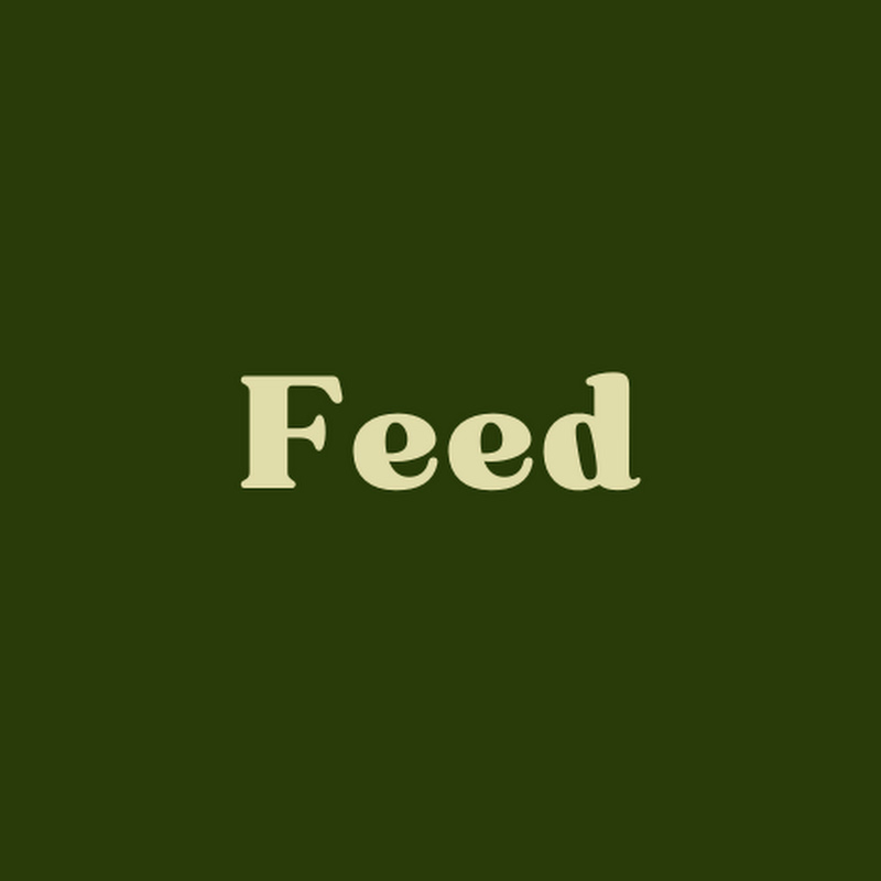 Feeding The Tech Generation