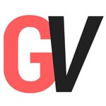 Gadget Voize