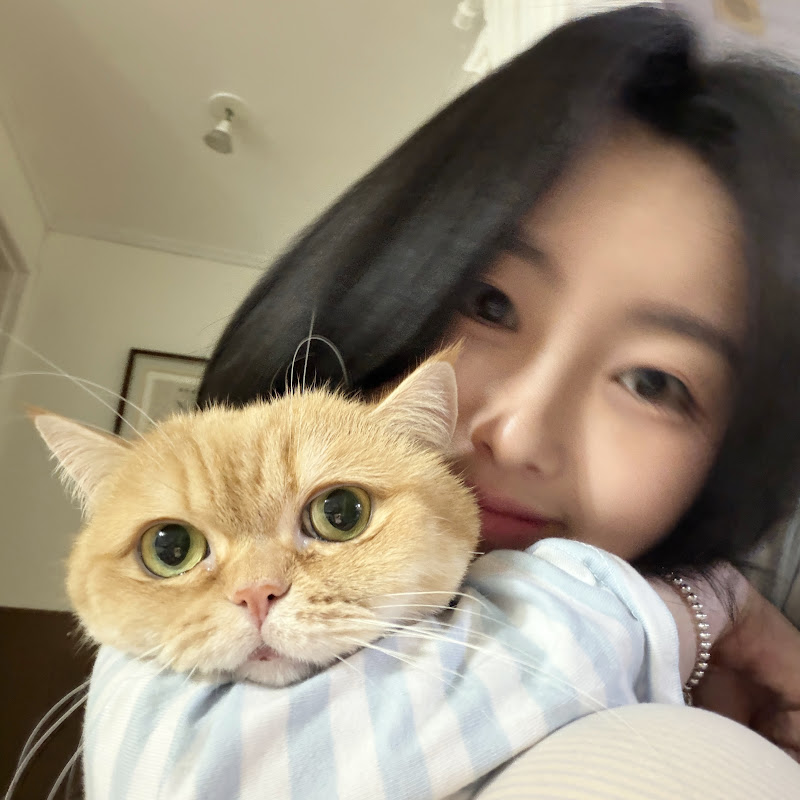 빡다정