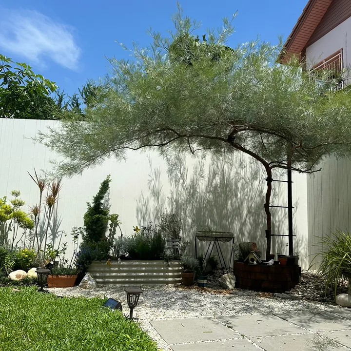 แม่บ้านกิ๊งก่องแก้ว