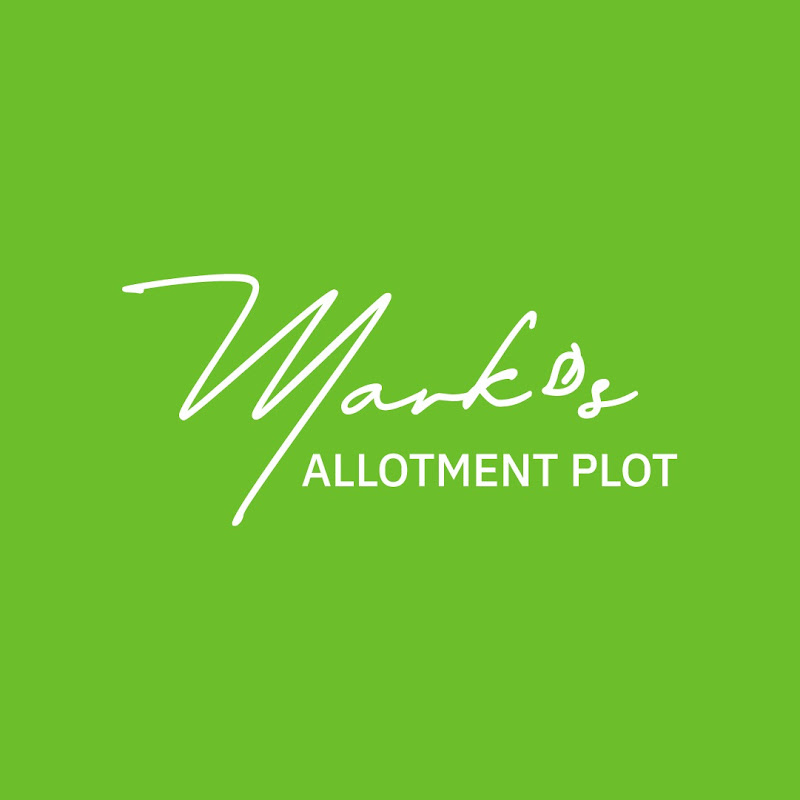 Mark's Allotment Plot
