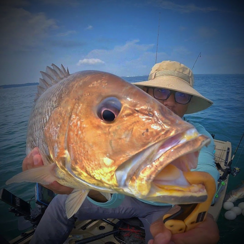 ROF - Republic of Fishing