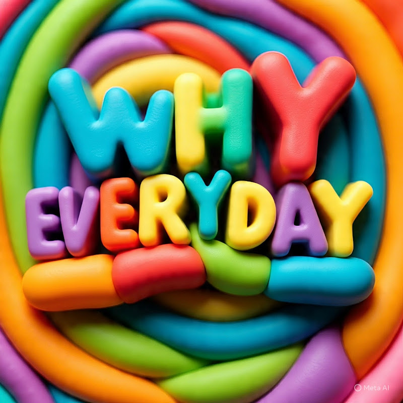 Why Everyday