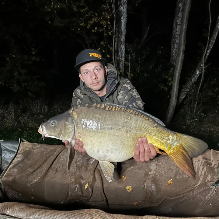 Karpiowaty_Dżolo