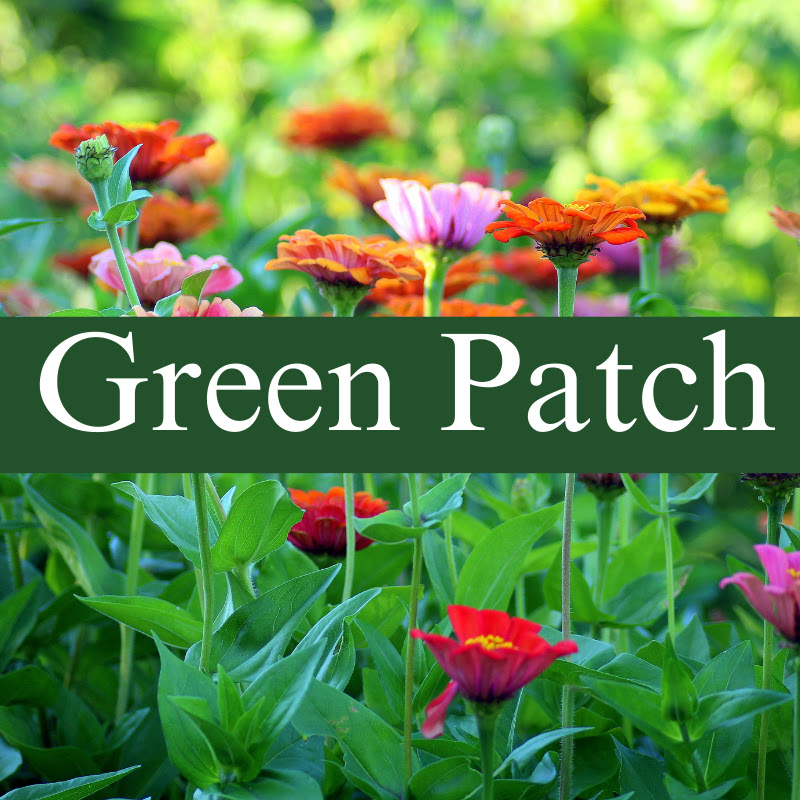 Green Patch