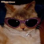 Pretty in Style