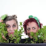 Seed SistAs