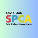 Saskatoon SPCA