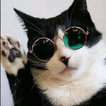gatoulisedits