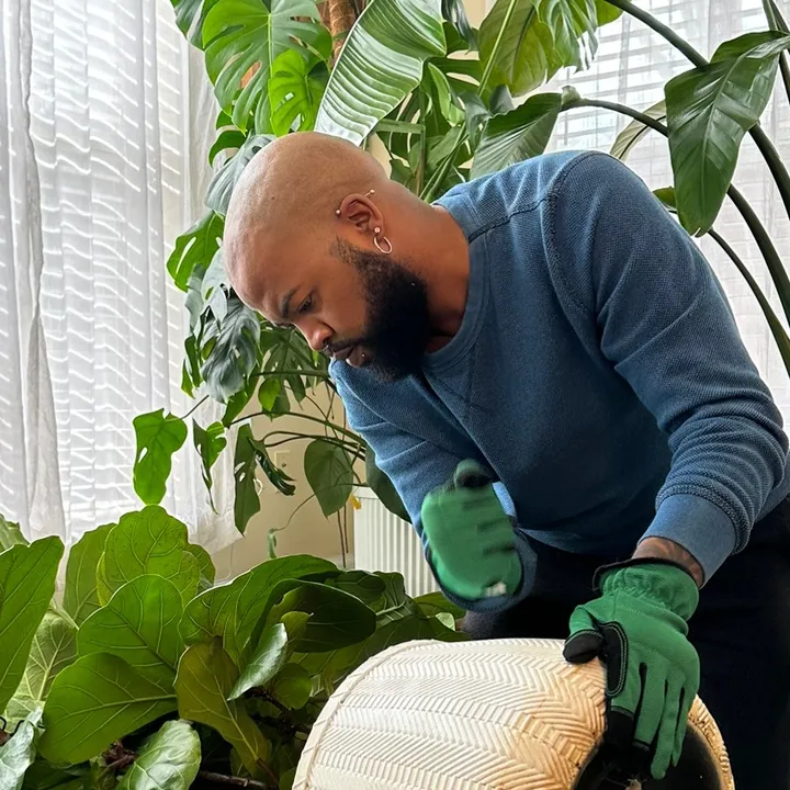 Planting_Roots