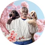 Cockapoo_Pepper & Nacho