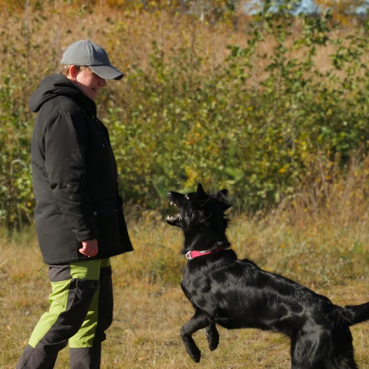 Canine Consilience