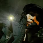 ᵀ ʳ ᵘ ˢ ᵗ ᵉ