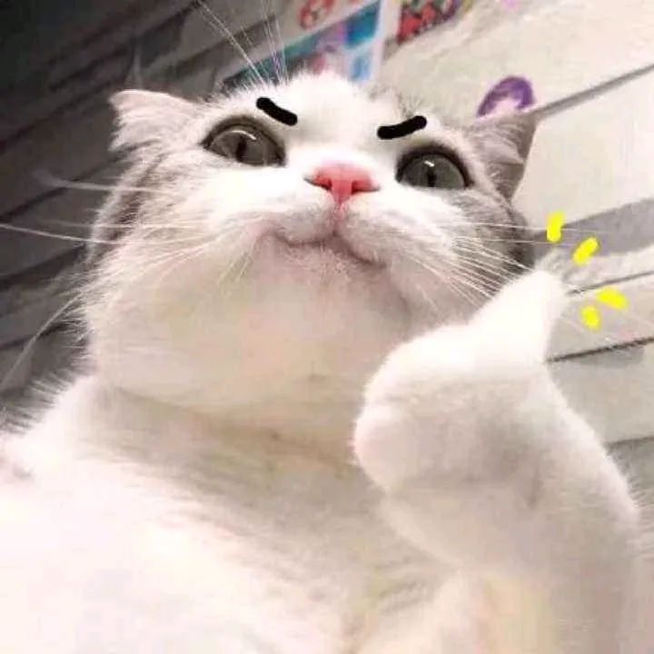 pets_mylove