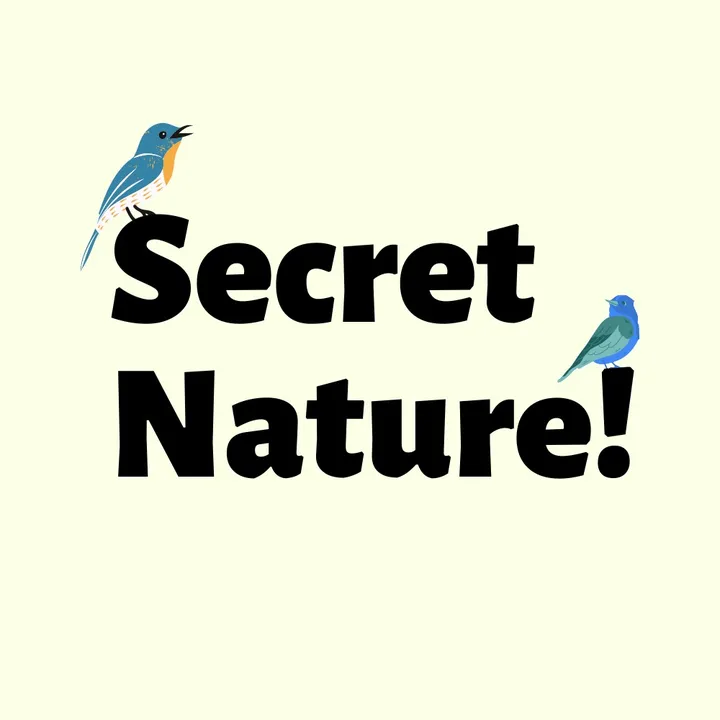 Secret Nature!