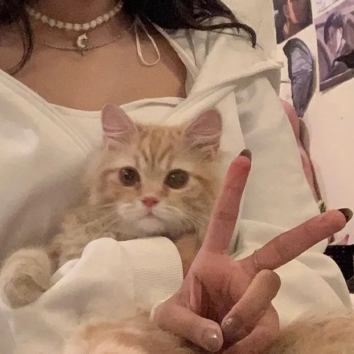 🎀