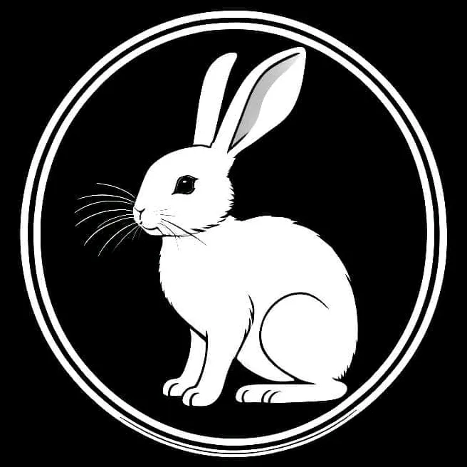 White Rabbit