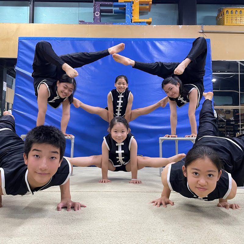 NPO法人ACRO-ACROJAPAN-