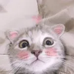 แพรรี่ ลี 🐋