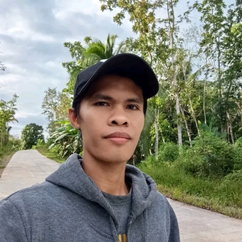 Cyrel Jay A. Villaro