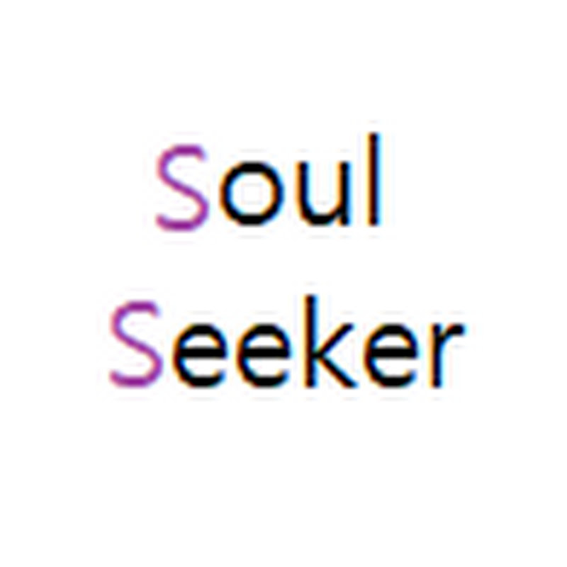 소울시커 Soul Seeker