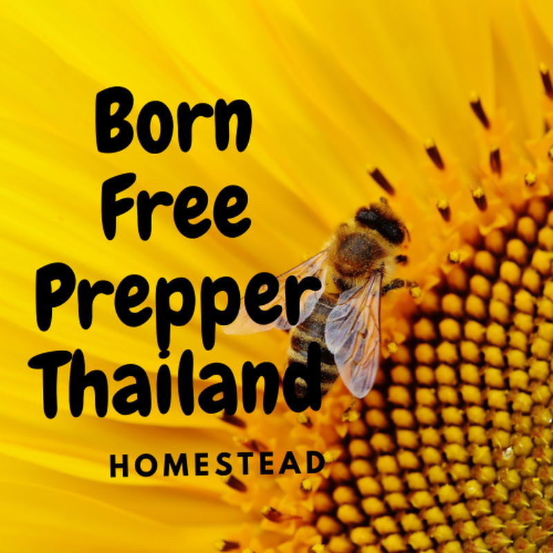 Born Free Prepper Thailand Homestead